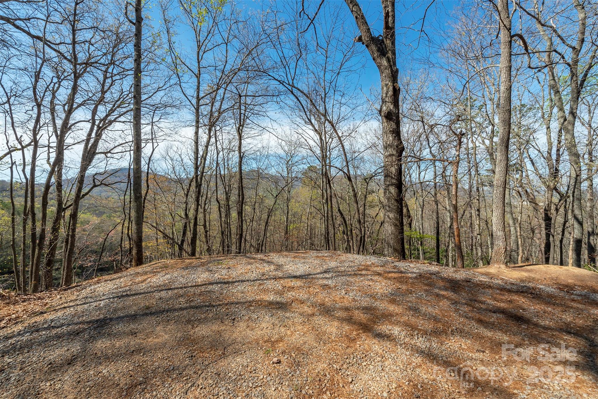 99999 Sunset Drive Black Mountain NC 28711