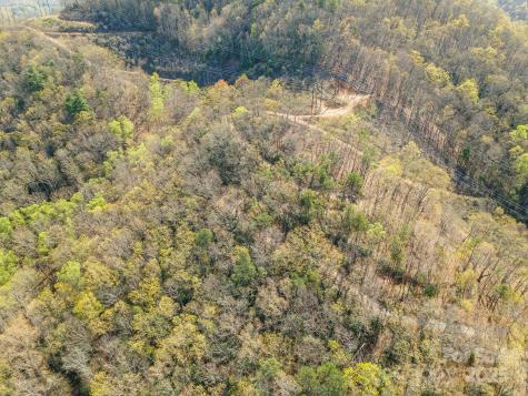 99999 Sunset Drive Black Mountain NC 28711