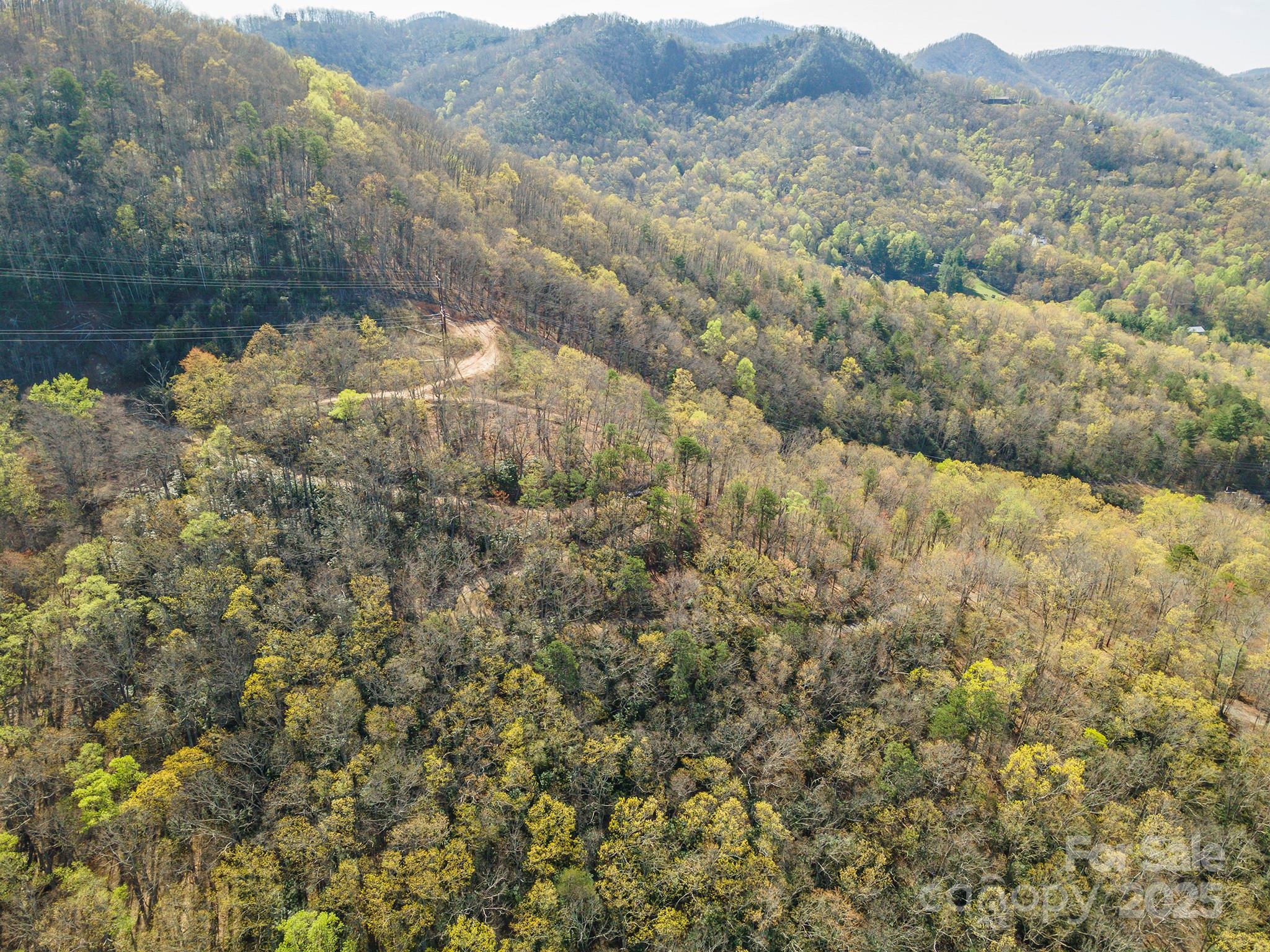 99999 Sunset Drive Black Mountain NC 28711