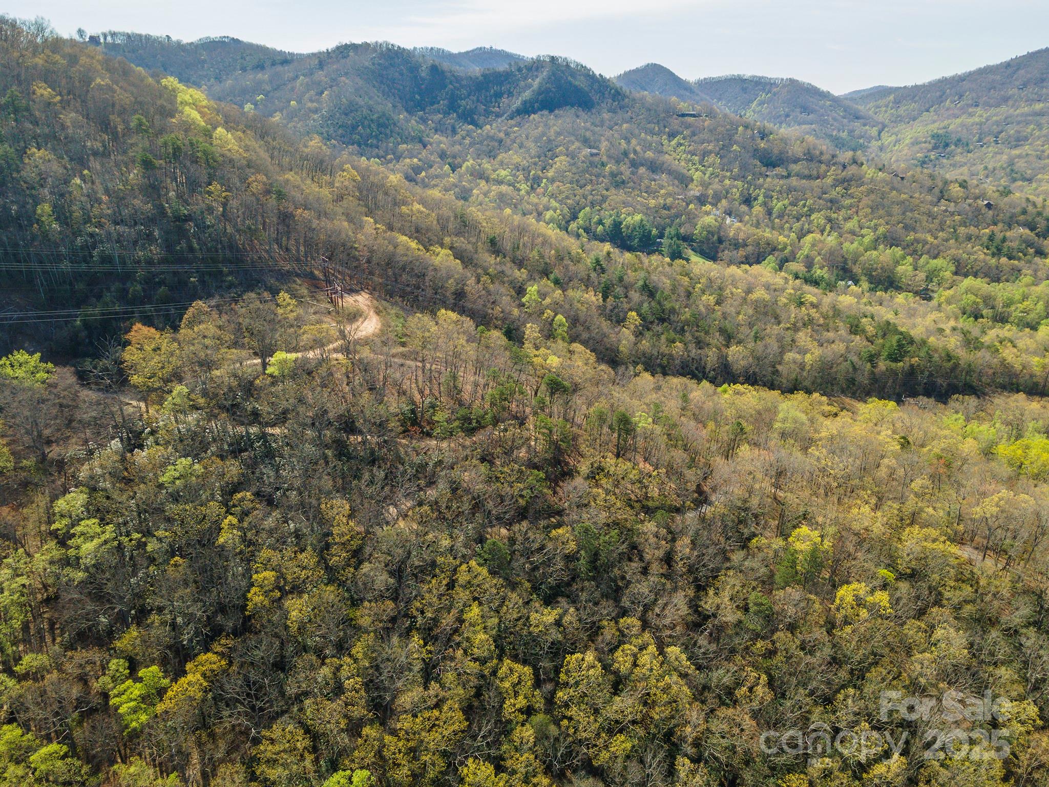 99999 Sunset Drive Black Mountain NC 28711