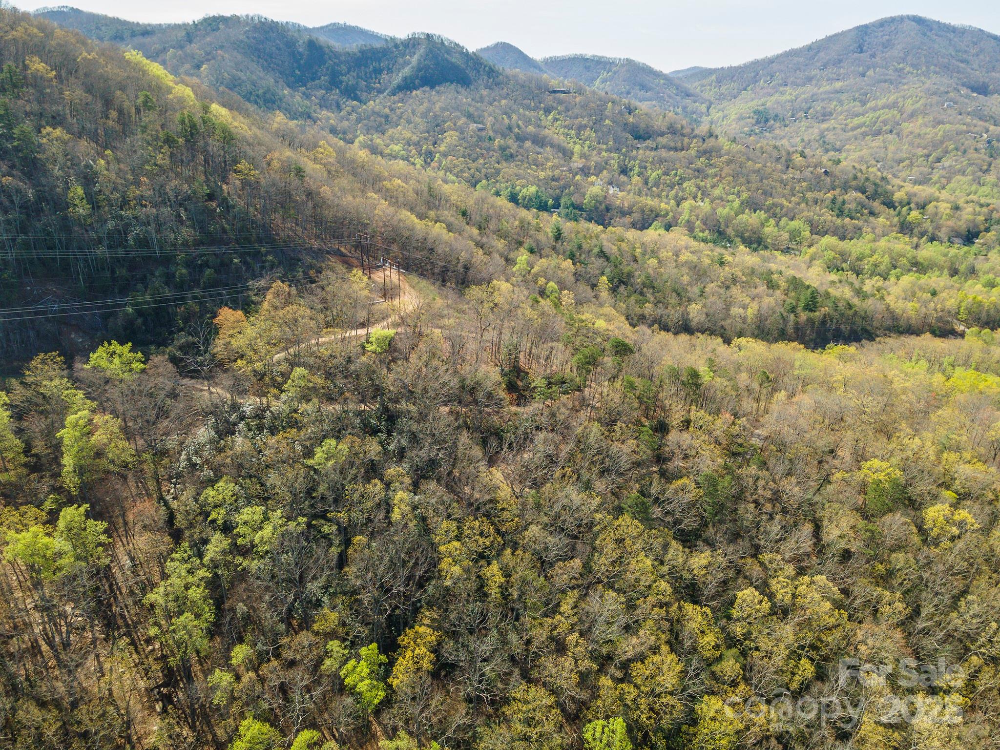 99999 Sunset Drive Black Mountain NC 28711