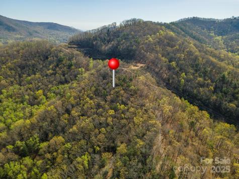 99999 Sunset Drive Black Mountain NC 28711