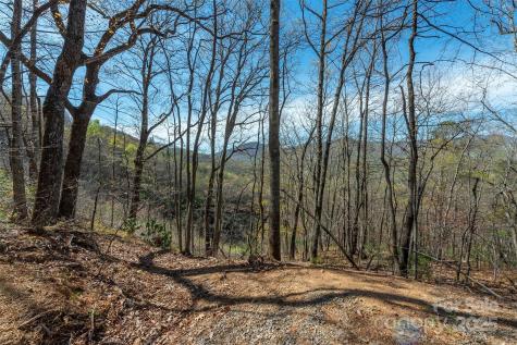 99999 Sunset Drive Black Mountain NC 28711
