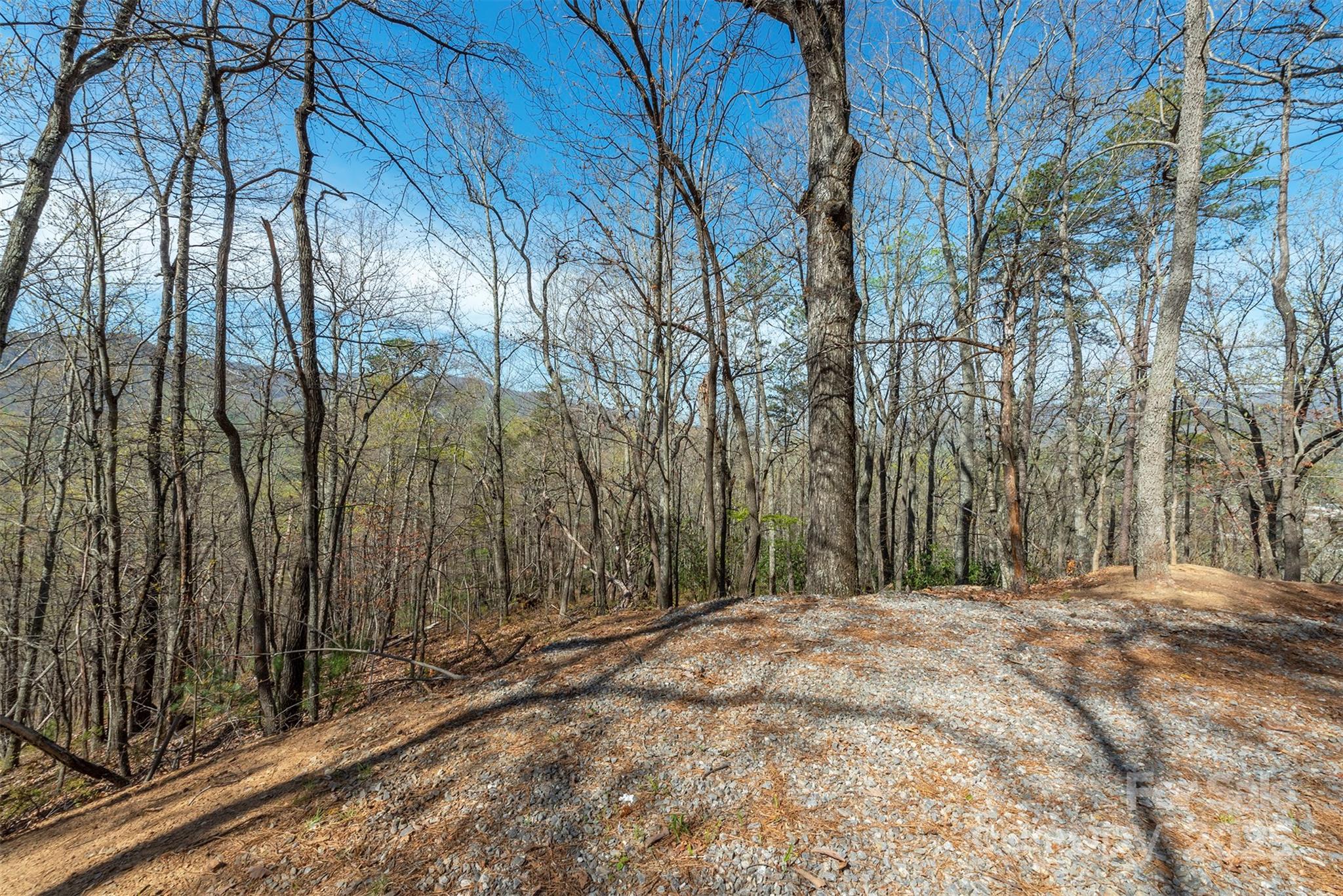 99999 Sunset Drive Black Mountain NC 28711