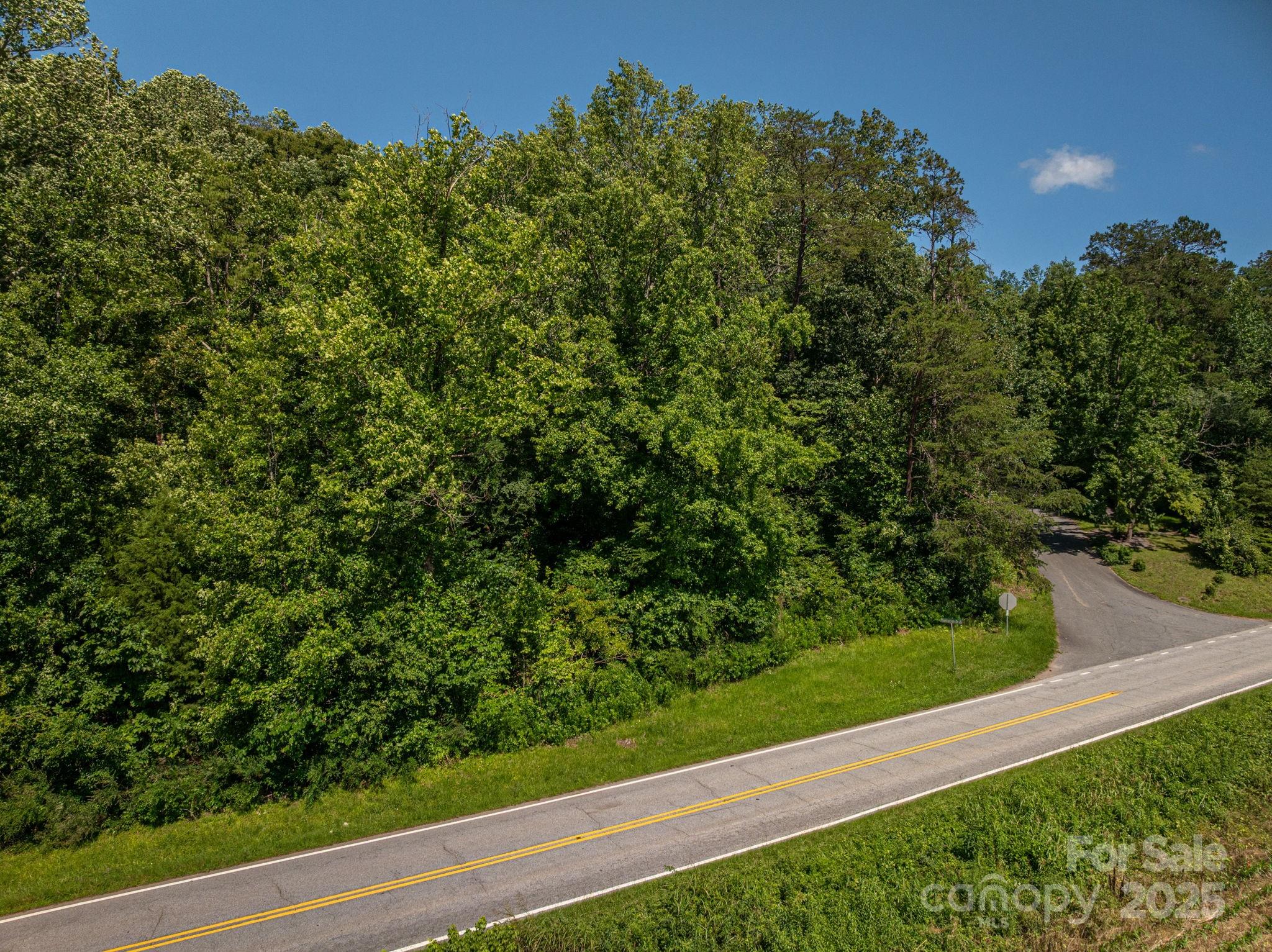 Lot 160 Coxe Road Rutherfordton NC 28139