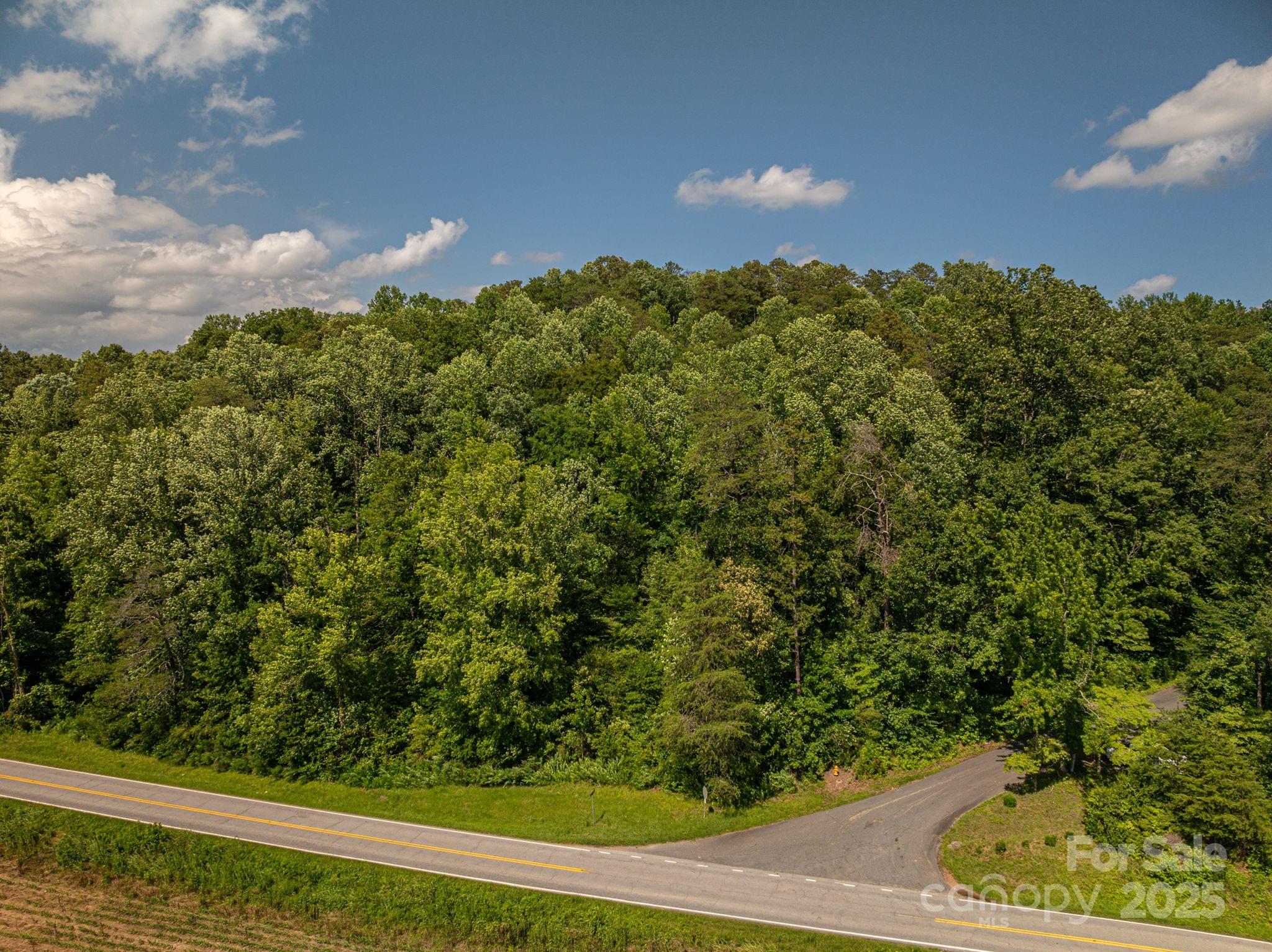 Lot 160 Coxe Road Rutherfordton NC 28139