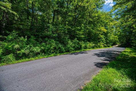 Lot 160 Coxe Road Rutherfordton NC 28139