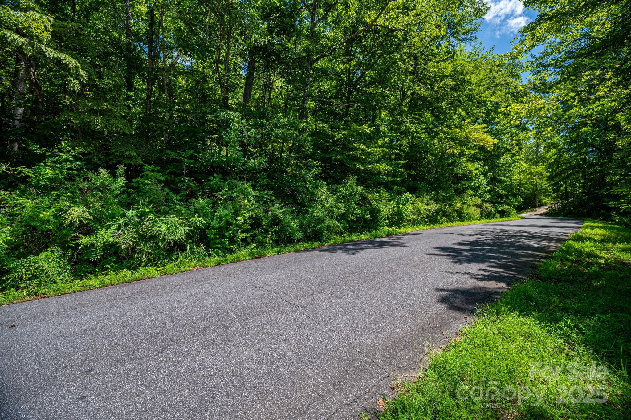 Lot 160 Coxe Road Rutherfordton NC 28139