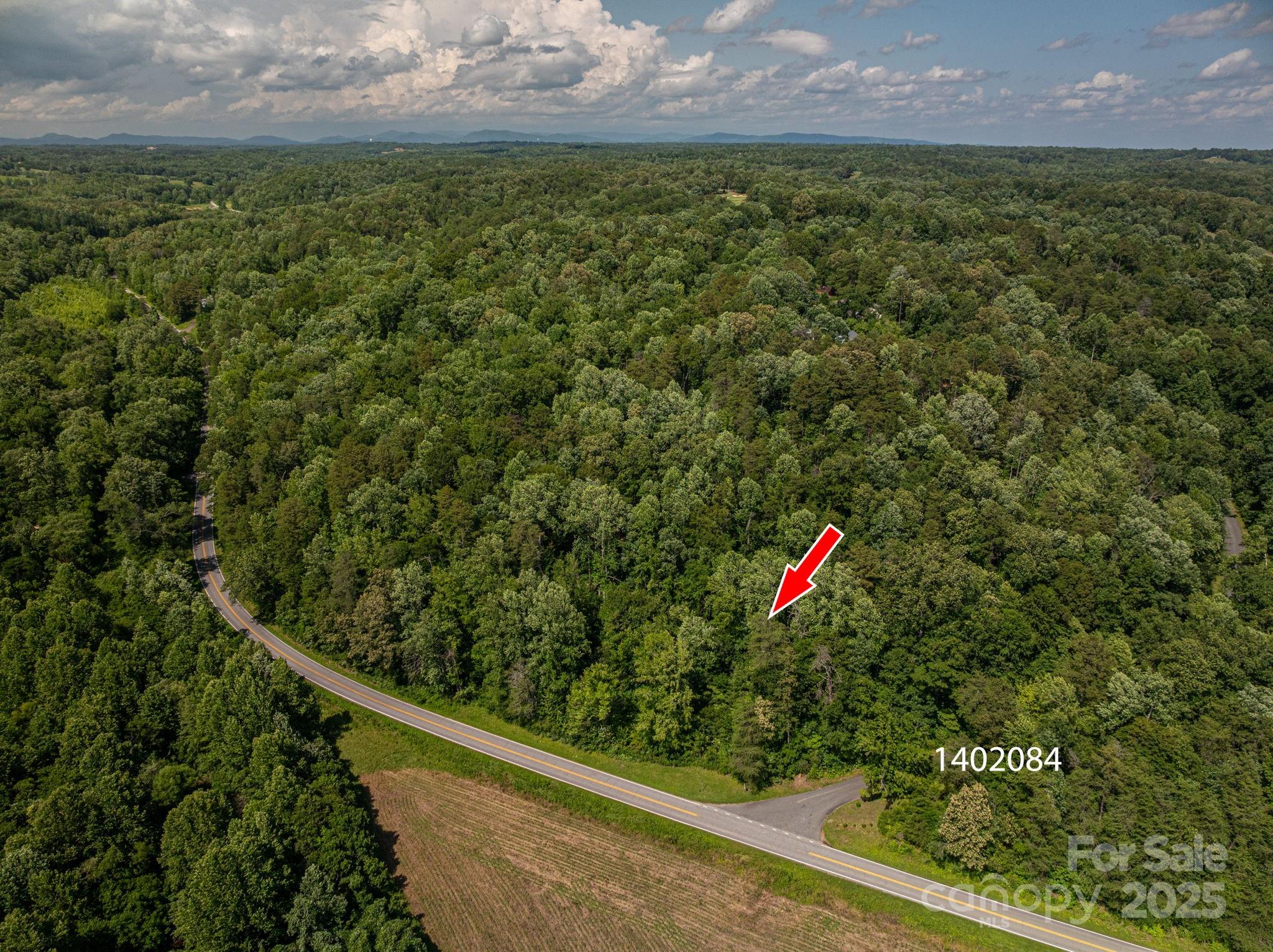 Lot 160 Coxe Road Rutherfordton NC 28139