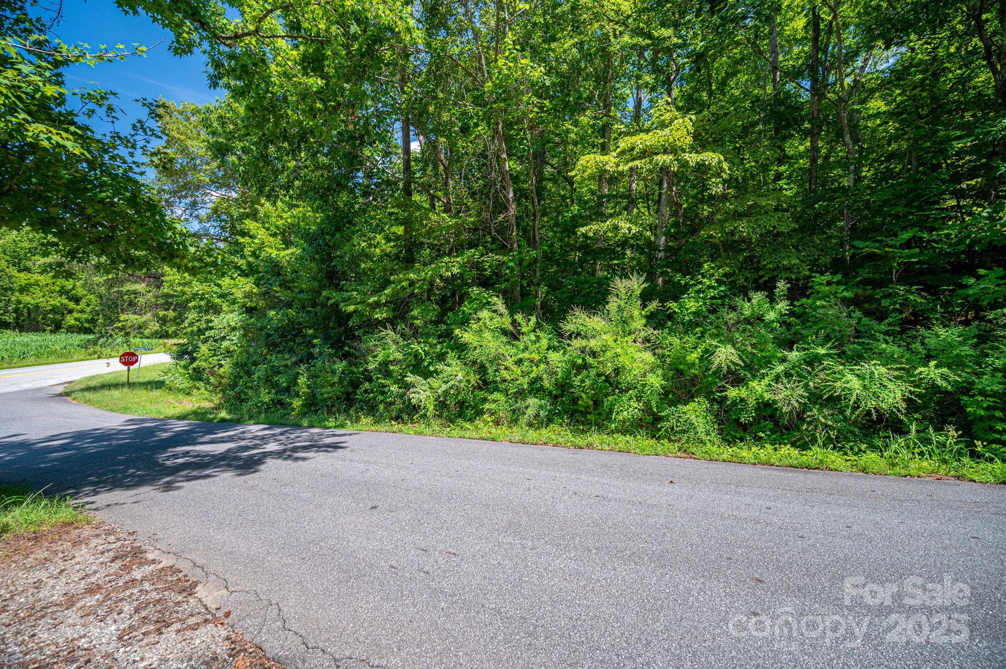 Lot 160 Coxe Road Rutherfordton NC 28139