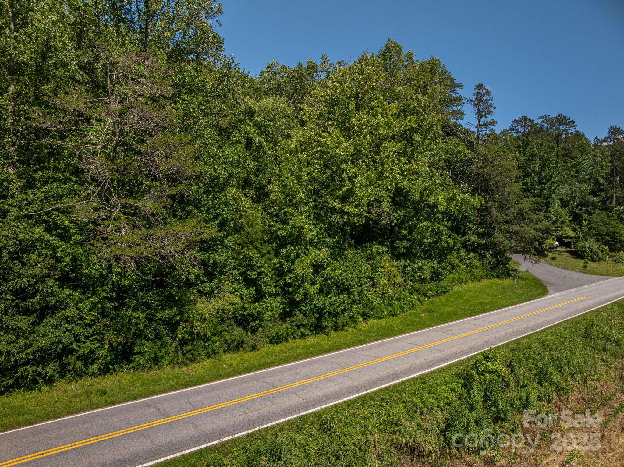 Lot 160 Coxe Road Rutherfordton NC 28139
