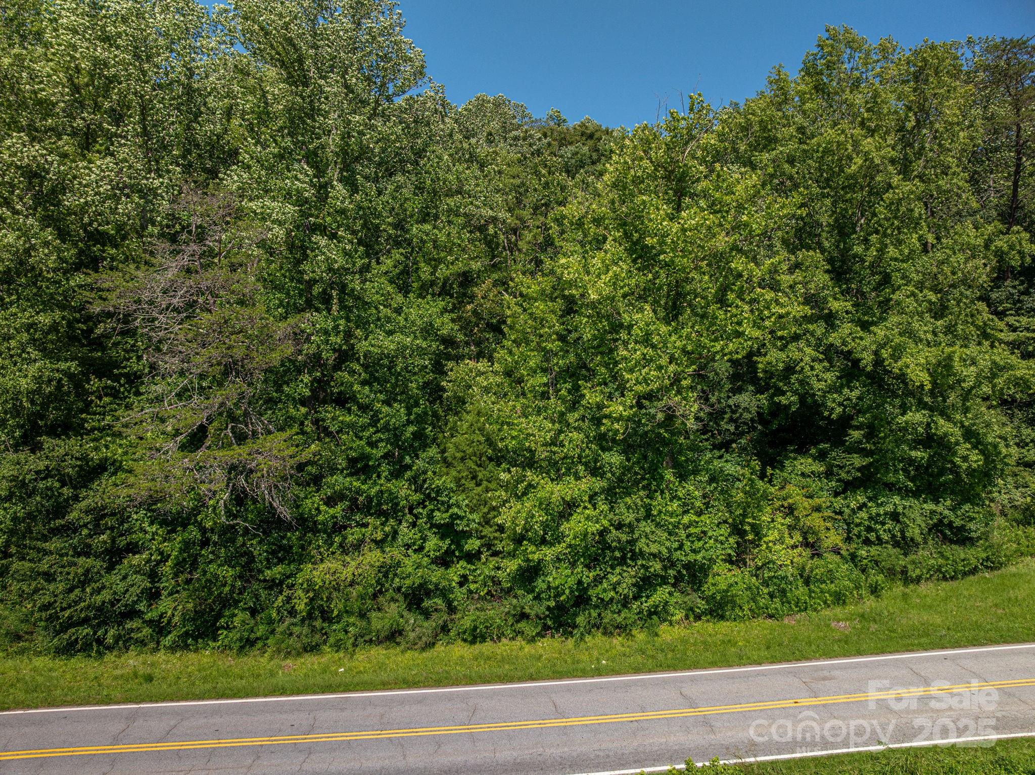 Lot 160 Coxe Road Rutherfordton NC 28139