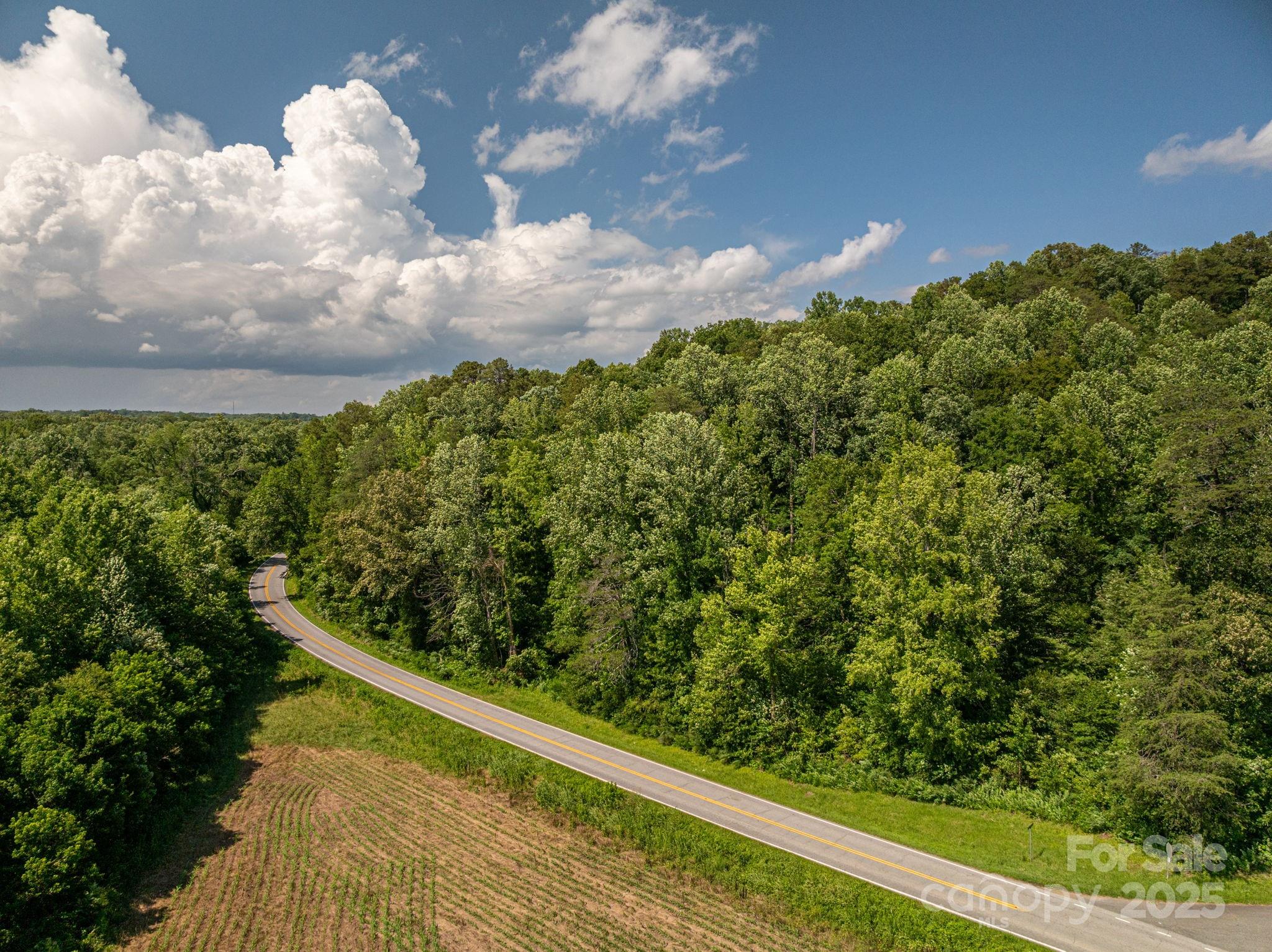 Lot 160 Coxe Road Rutherfordton NC 28139