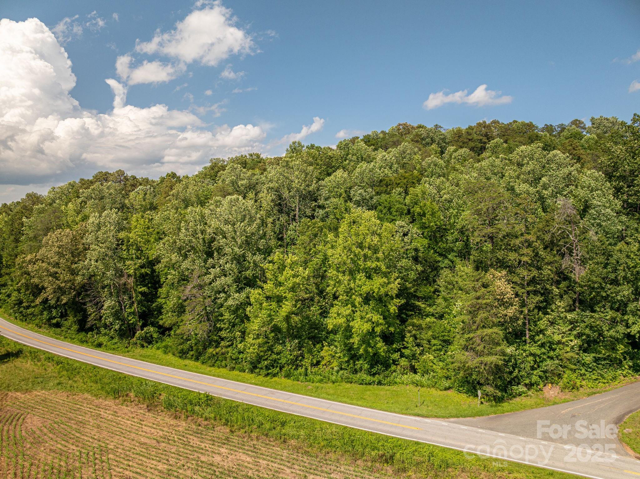Lot 160 Coxe Road Rutherfordton NC 28139