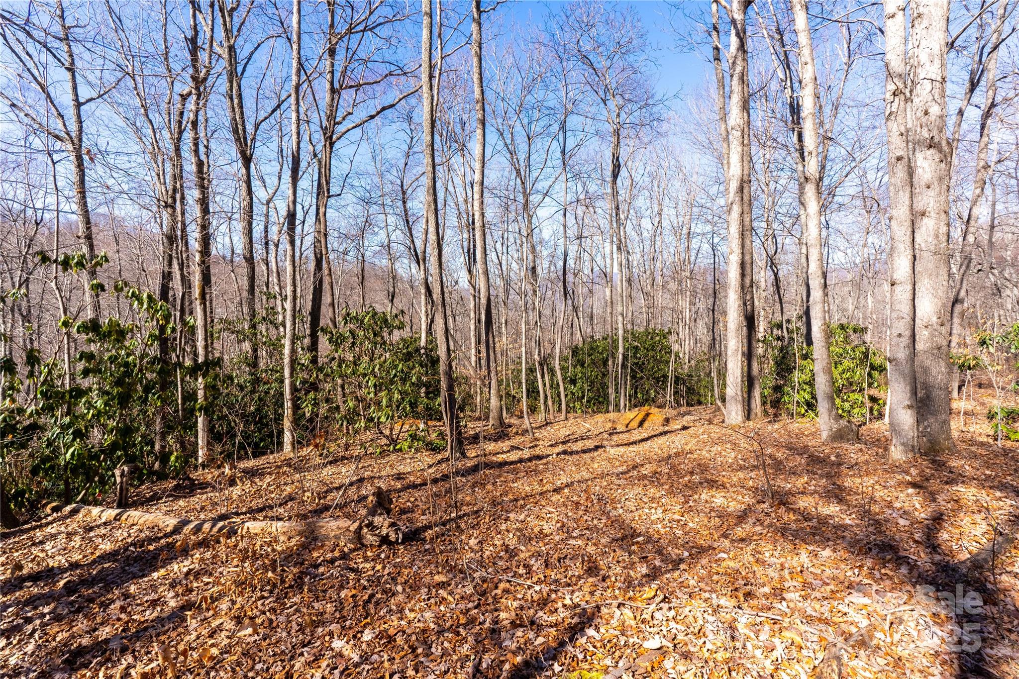 1248 Arborcrest Way Swannanoa NC 28778