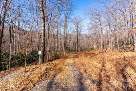 1248 Arborcrest Way Swannanoa NC 28778