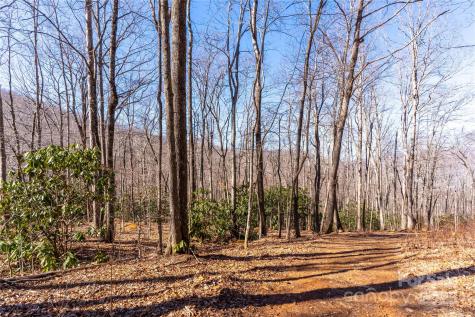 1248 Arborcrest Way Swannanoa NC 28778