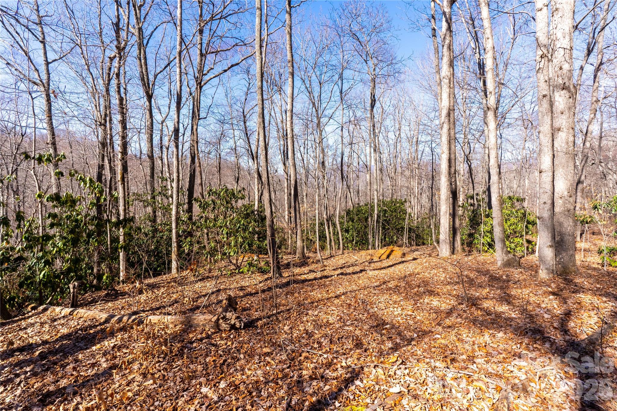 1248 Arborcrest Way Swannanoa NC 28778
