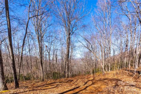 1248 Arborcrest Way Swannanoa NC 28778