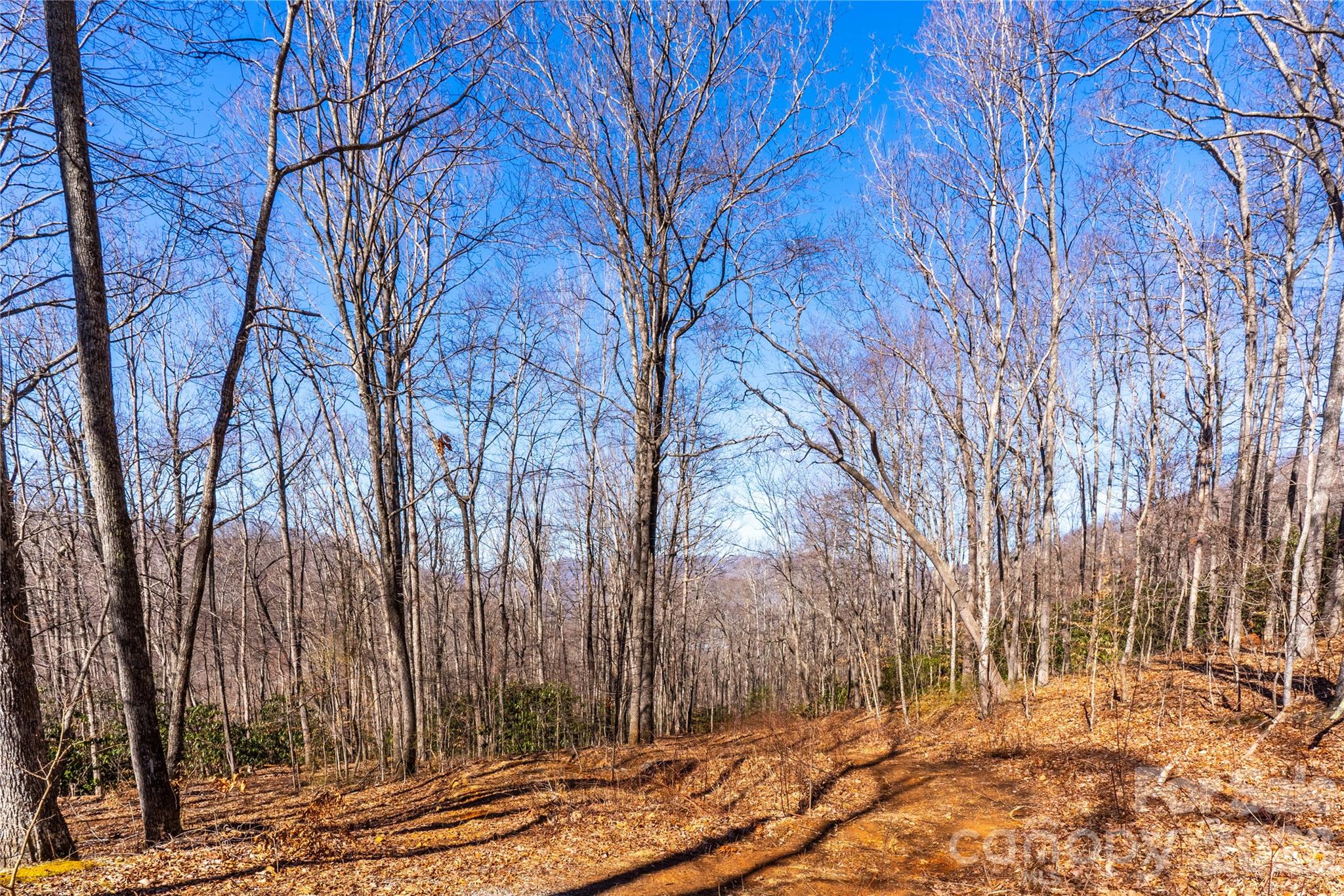 1248 Arborcrest Way Swannanoa NC 28778