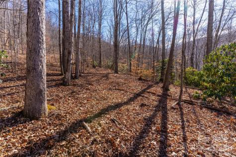 1248 Arborcrest Way Swannanoa NC 28778