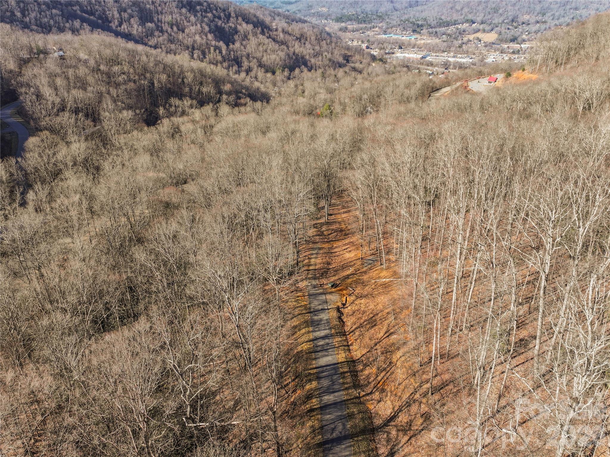 1248 Arborcrest Way Swannanoa NC 28778