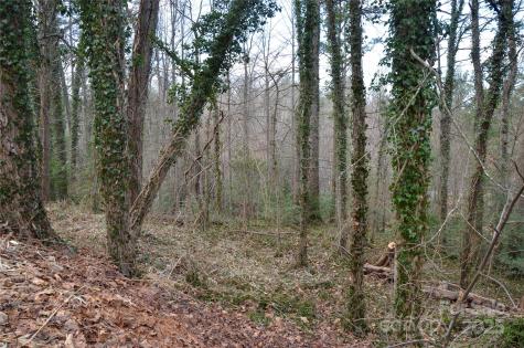 99999 Horizon Hill Road Asheville NC 28804