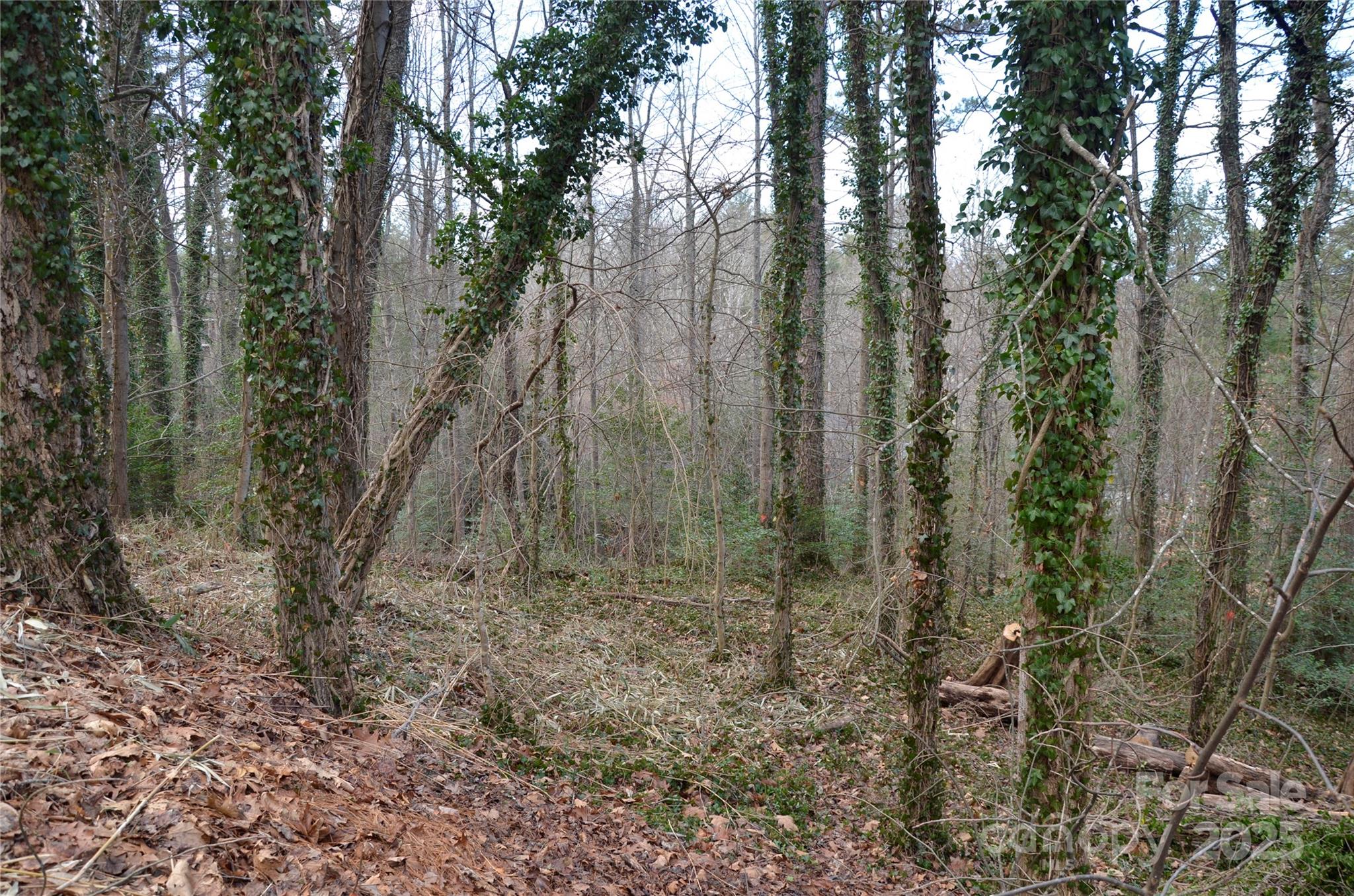 99999 Horizon Hill Road Asheville NC 28804