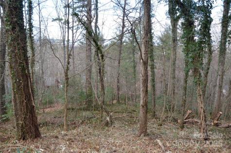 99999 Horizon Hill Road Asheville NC 28804