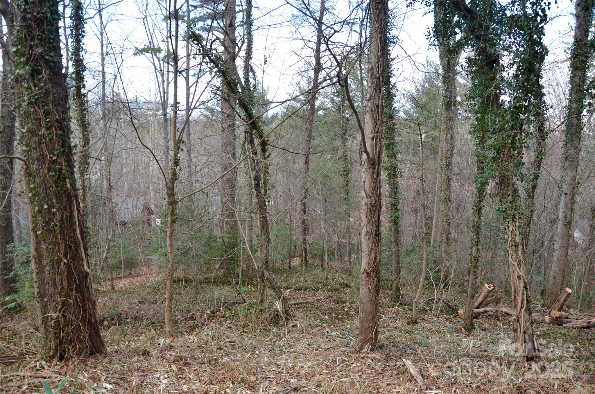 99999 Horizon Hill Road Asheville NC 28804