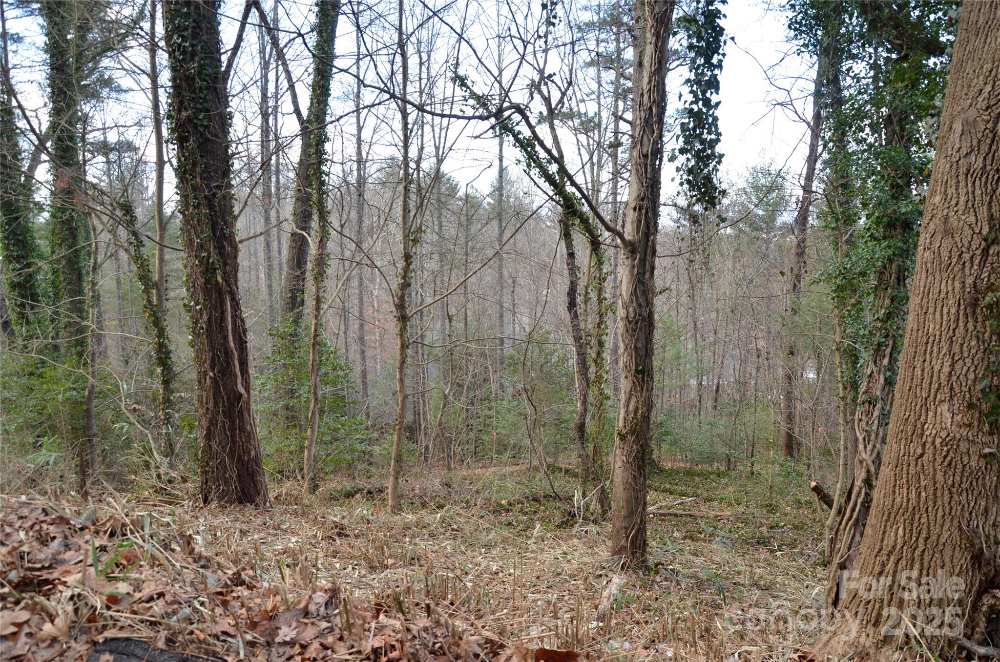 99999 Horizon Hill Road Asheville NC 28804