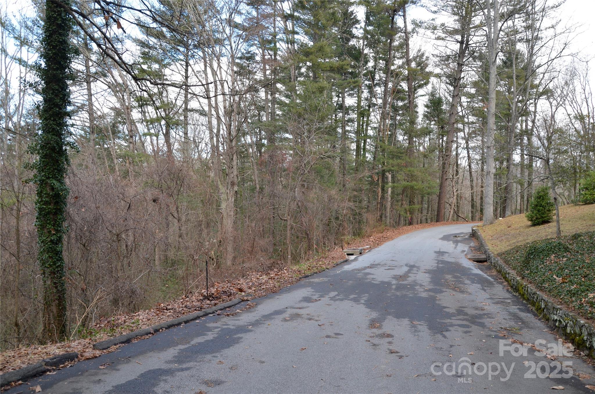 99999 Horizon Hill Road Asheville NC 28804