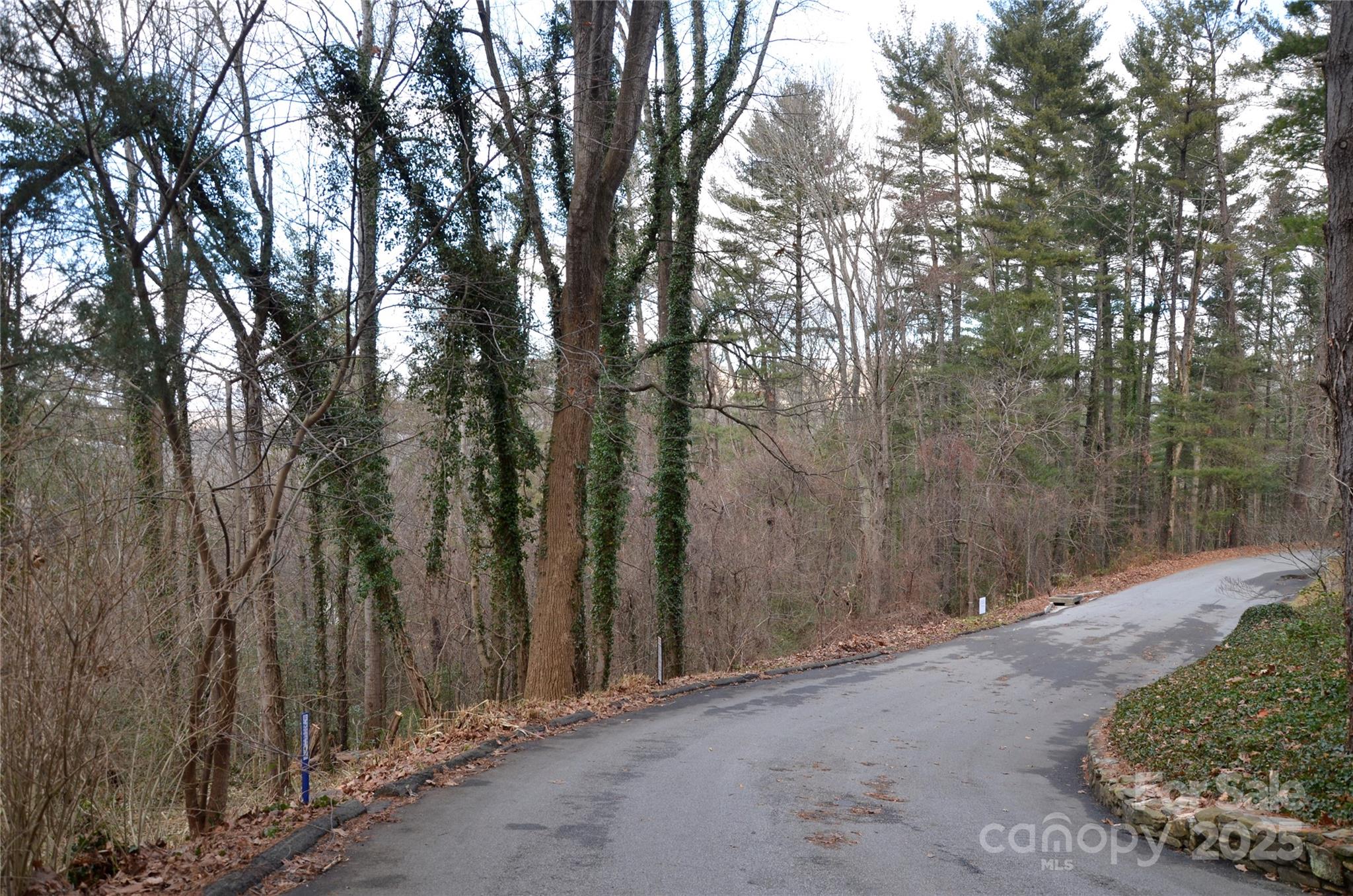 99999 Horizon Hill Road Asheville NC 28804