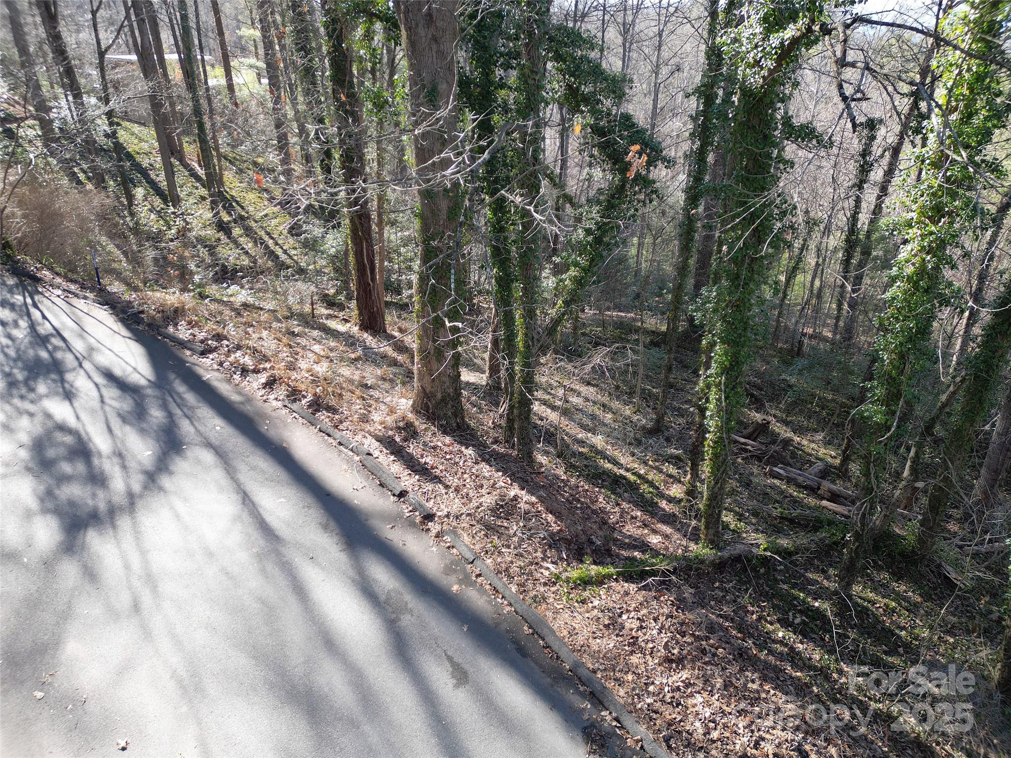 99999 Horizon Hill Road Asheville NC 28804