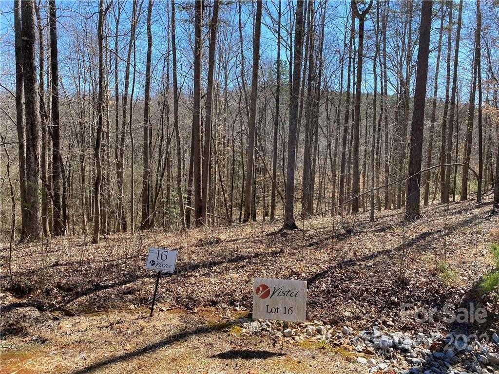 000 Rambling Creek Road Tryon NC 28782