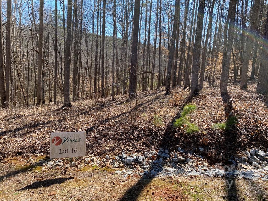 000 Rambling Creek Road Tryon NC 28782