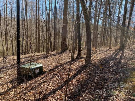 000 Rambling Creek Road Tryon NC 28782