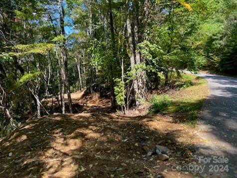 Lot G-43 Odalu Trail Maggie Valley NC 28751