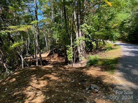 Lot G-43 Odalu Trail Maggie Valley NC 28751