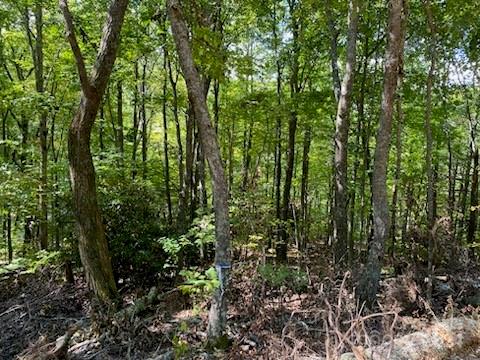 Lot G-43 Odalu Trail Maggie Valley NC 28751