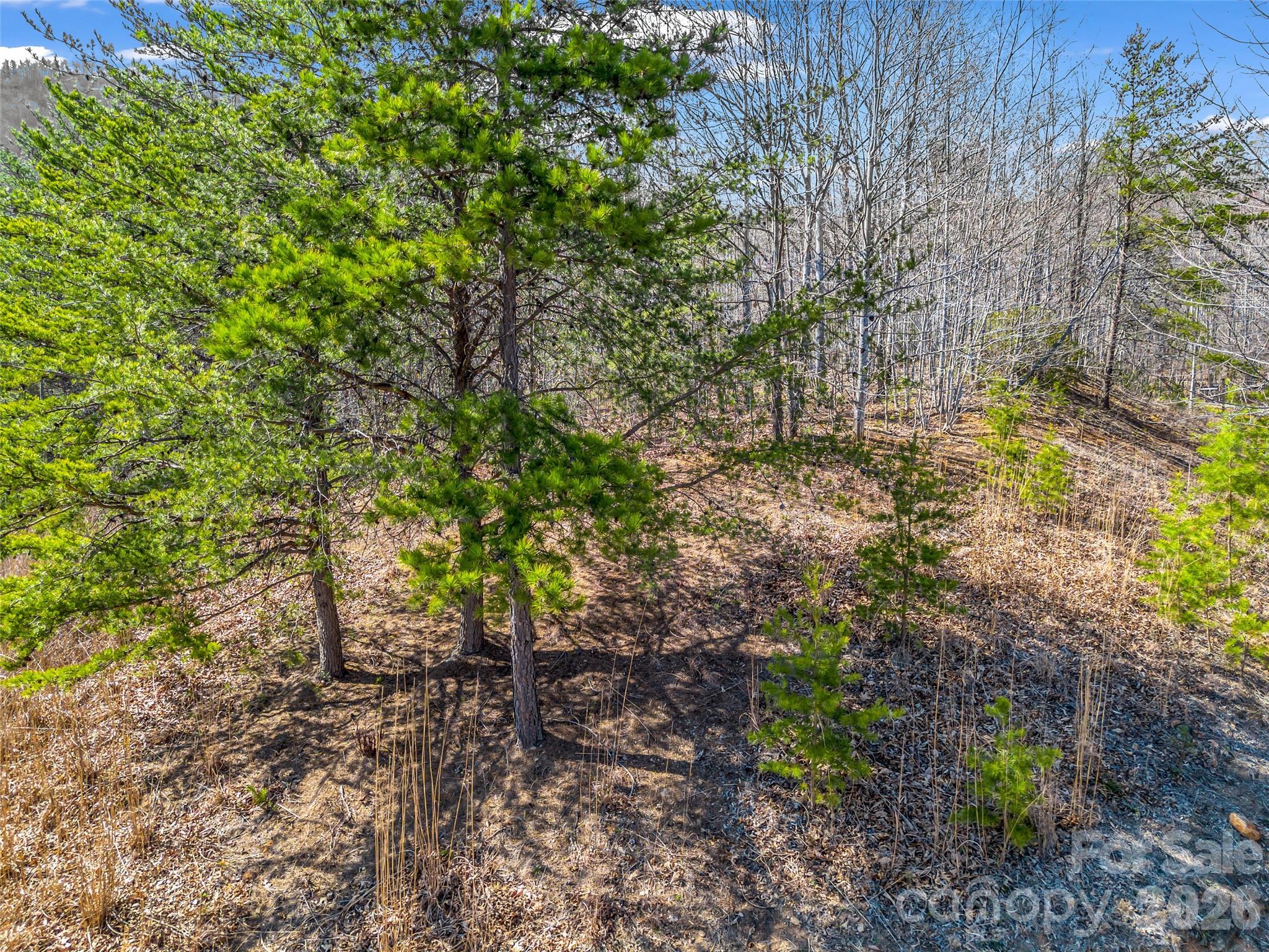 190 Cherry Hill Mill Spring NC 28756