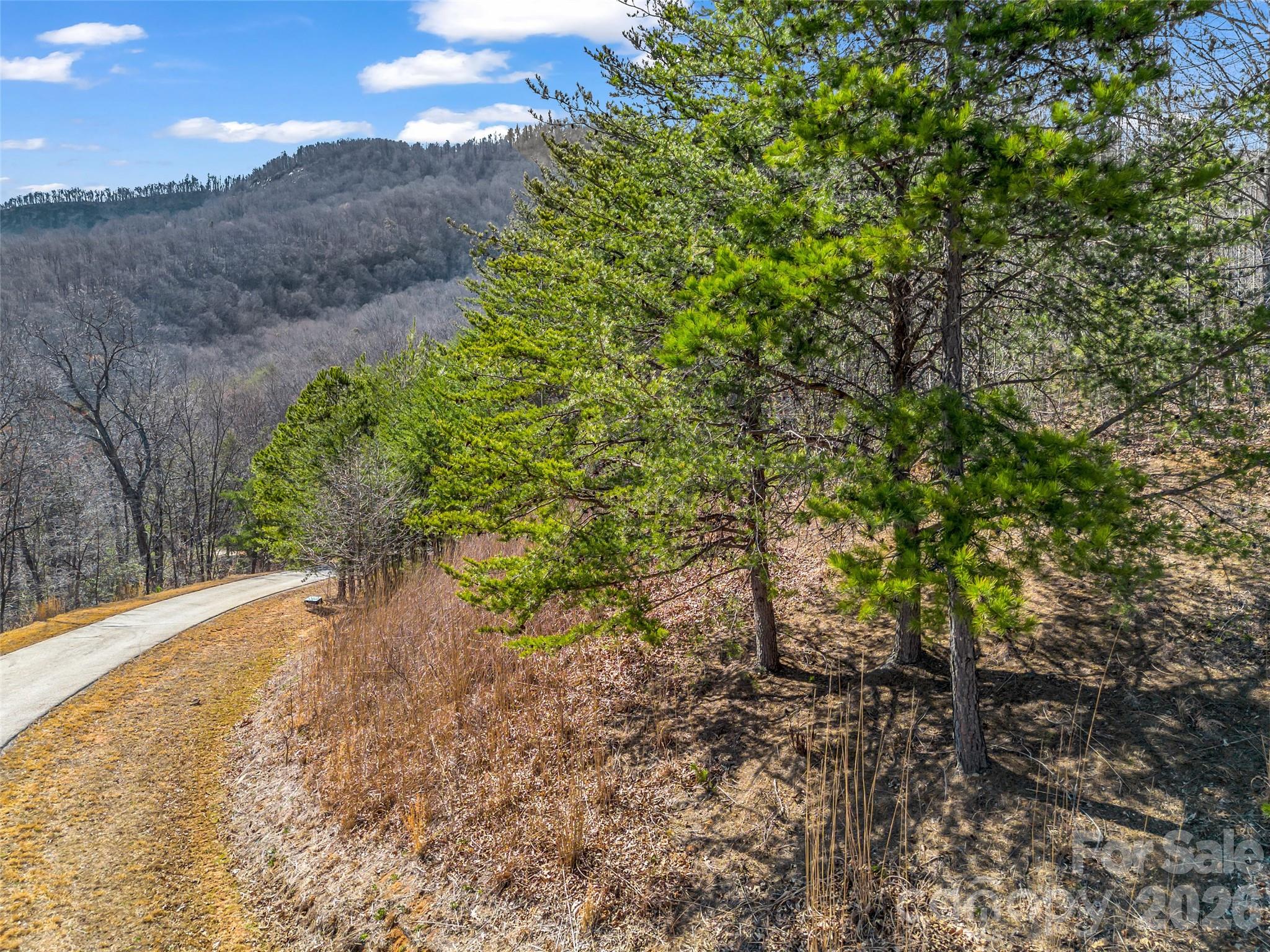 190 Cherry Hill Mill Spring NC 28756