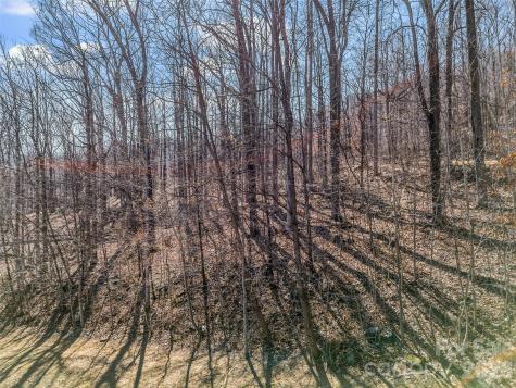 190 Cherry Hill Mill Spring NC 28756