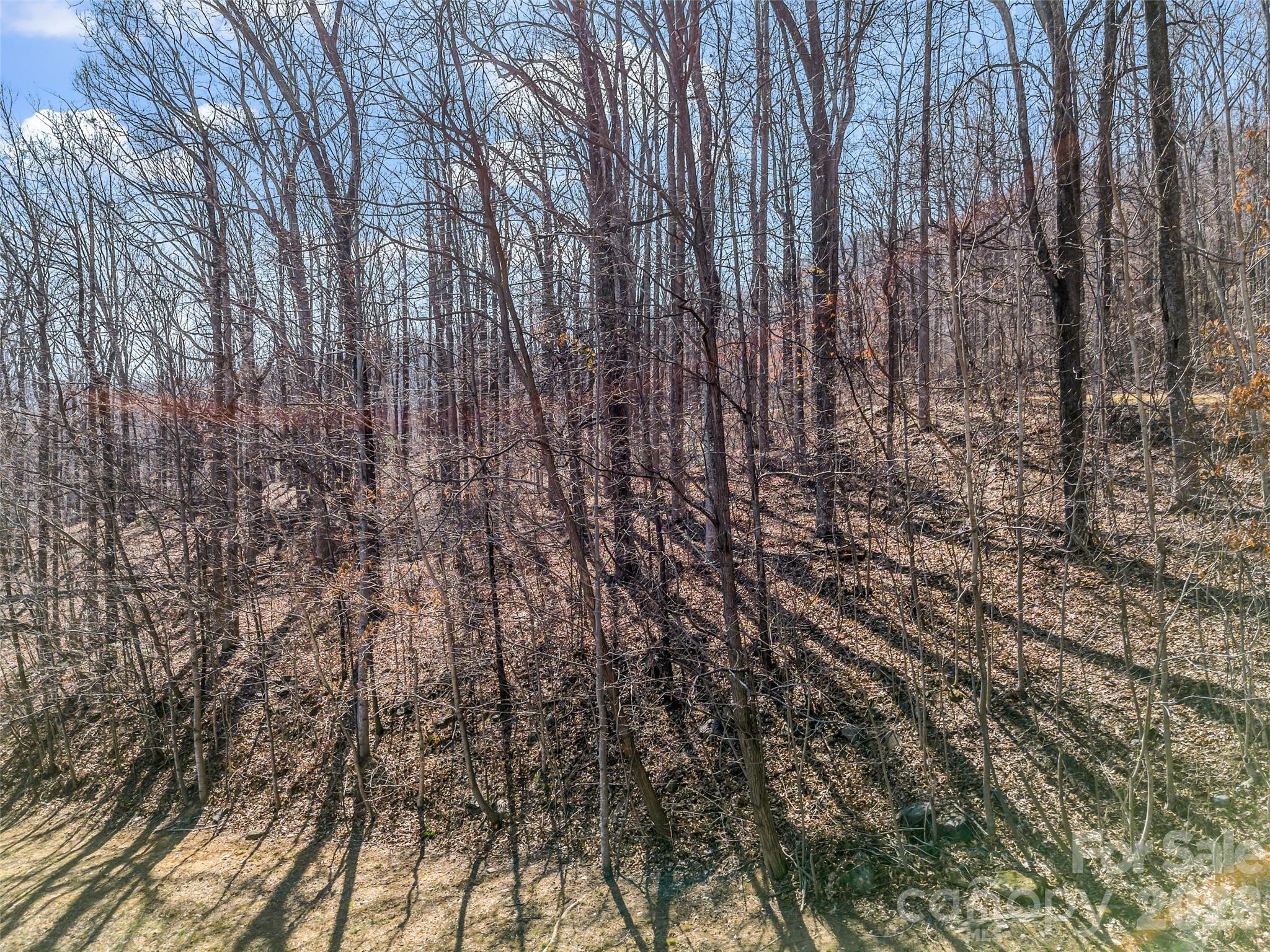 190 Cherry Hill Mill Spring NC 28756
