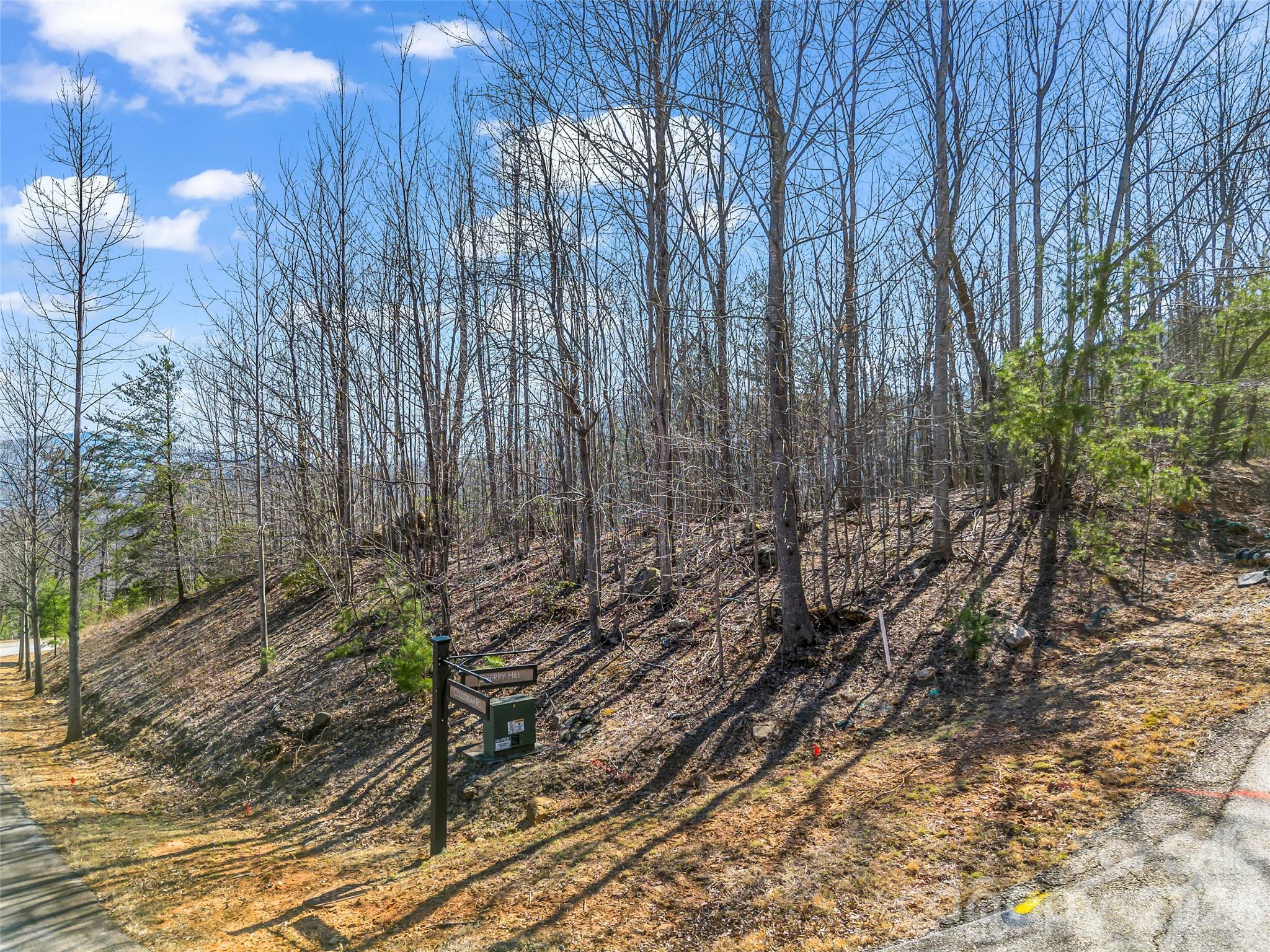 190 Cherry Hill Mill Spring NC 28756