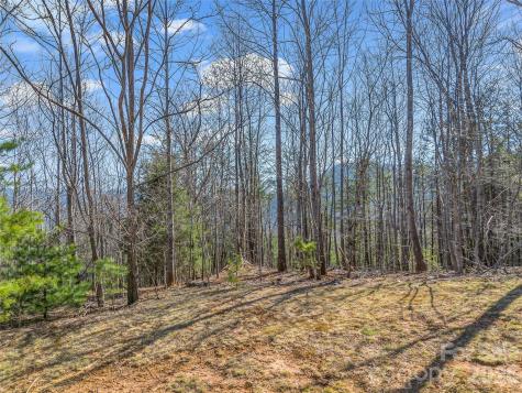 190 Cherry Hill Mill Spring NC 28756