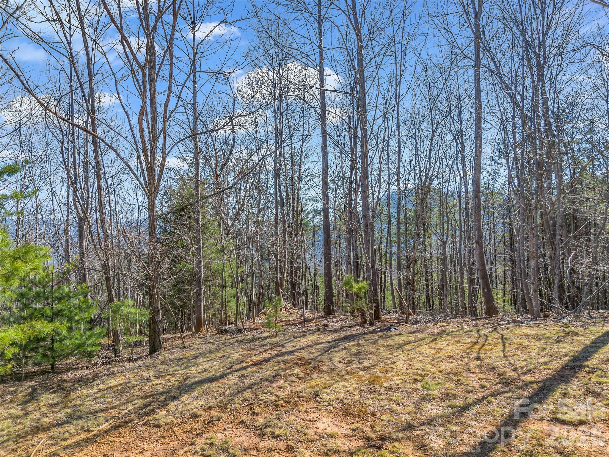 190 Cherry Hill Mill Spring NC 28756
