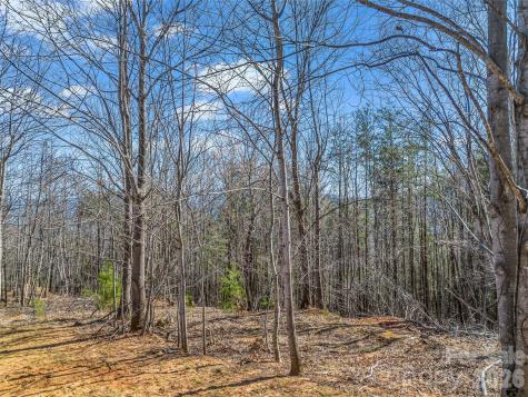 190 Cherry Hill Mill Spring NC 28756