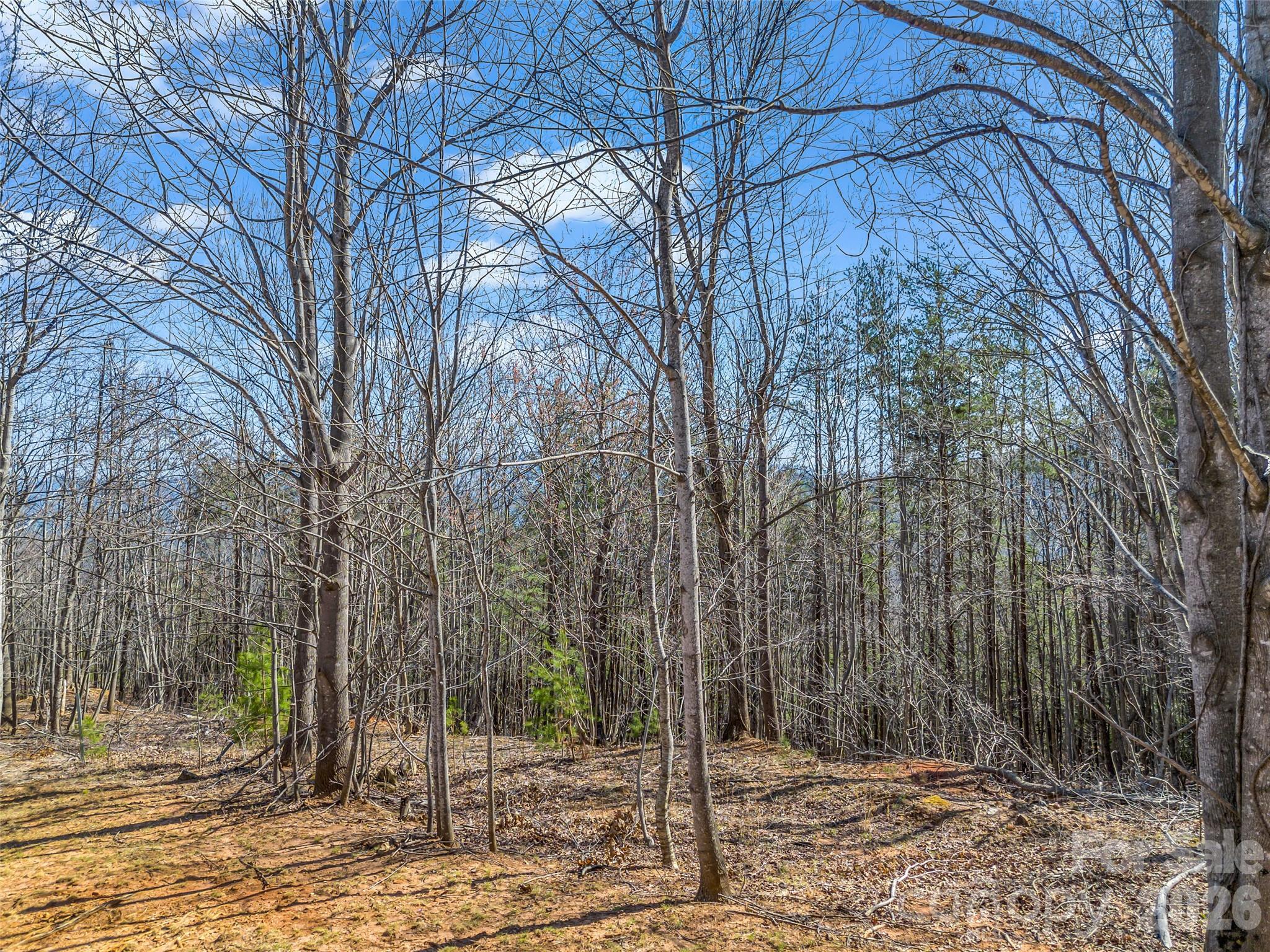 190 Cherry Hill Mill Spring NC 28756