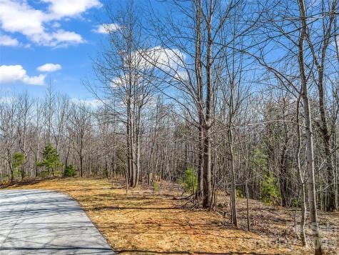190 Cherry Hill Mill Spring NC 28756